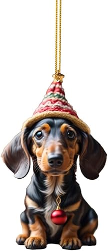 JSGHGDF Pendentif de Noël amusant en forme de teckel - Accessoire d'intérieur de voiture - Décoration d'arbre de Noël - Nail Gallerys