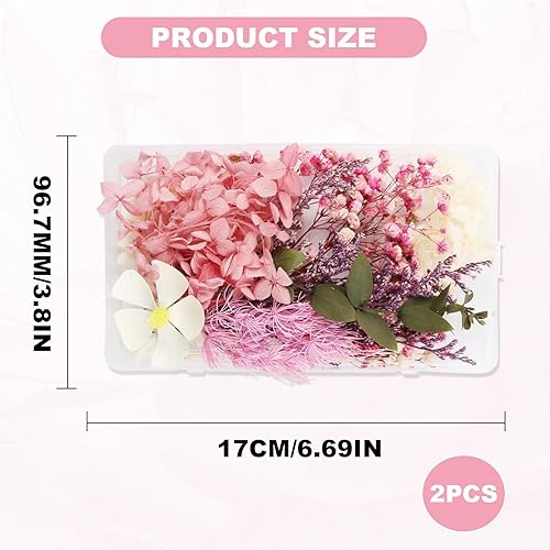 2 Pièces Fleur Sechees Naturel,Vraies Fleurs Pressées Séchées Mixtes Fleurs Presses Relief Fleurs préservées Résine Bijoux DIY Bougie Ongles Artisanat Scrapbooking Décoration Florale（Violet） - Nail Gallerys