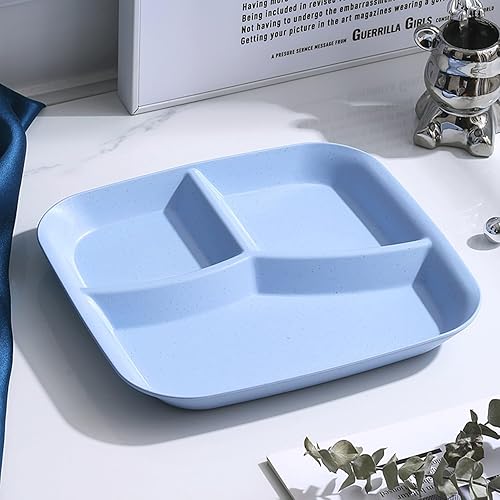 Assiette rectangulaire à 3 compartiments en polypropylène de qualité alimentaire - Passe au lave-vaisselle - Pour adultes et enfants - Pour petit-déjeuner, collation, légumes, repas - Fournitures de - Nail Gallerys