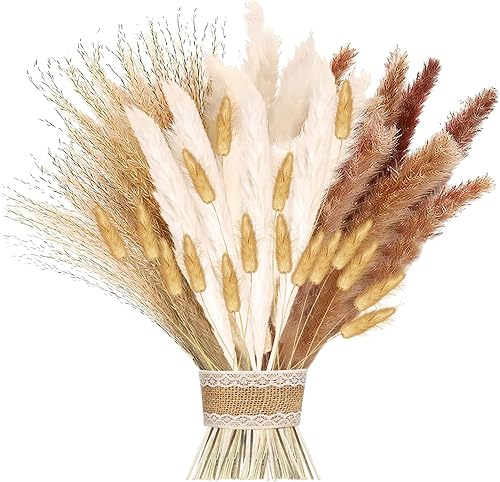 Pampas Séchées Decoration, 41 PCS Fleurs Séchées de 42-45 cm, Bouquet de Fleurs Séchées, Herbe de La Pampa Séchées, Décoration de Vases de Fleurs Séchées pour Boho Mariage, Chambre, Anniversaire - Nail Gallerys