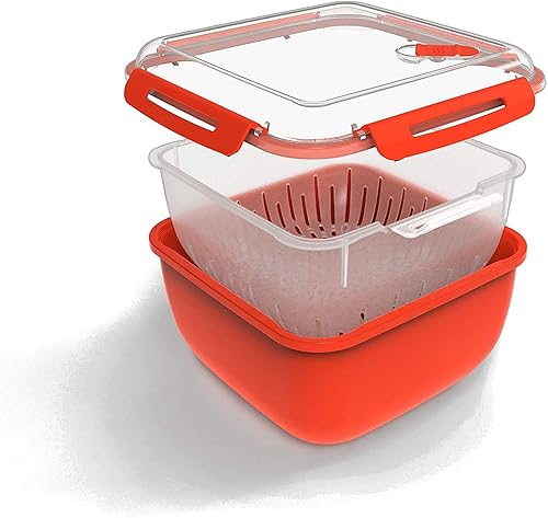 Rotho Memory Microwave Cuiseur à vapeur 2,5l avec tamis pour micro-ondes et cuiseur à vapeur, Plastique (PP) sans BPA, rouge/transparent, 2.5l (19.5 x 19.5 x 12.1 cm) - Nail Gallerys