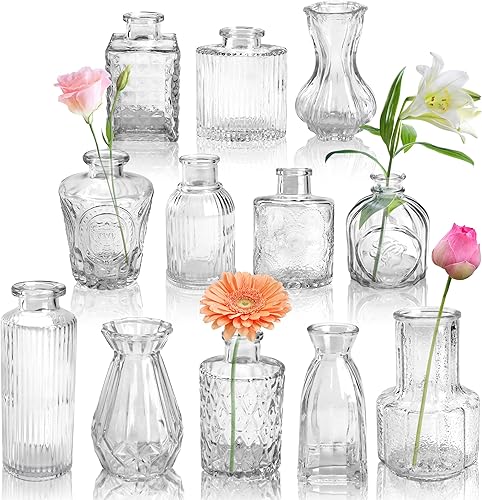 Der Rose Lot de 12 vases à bourgeons en verre transparent pour centres de table pour décorations de mariage rustiques, arrangements floraux, décoration de table d'intérieur - Nail Gallerys