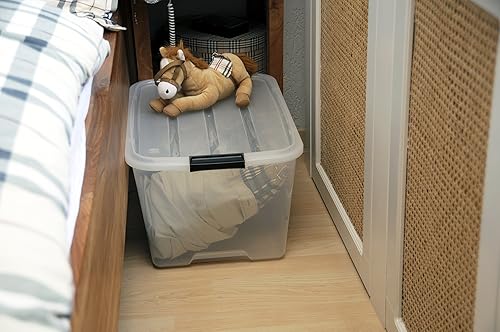 Iris Ohyama, Boite Rangement Plastique avec Couvercle, 32L, Lot de 3, Transparent, 98% en Plastique Recyclé, Clips de Fermeture, Poignée, Empilable, pour Chambre, Dressing, Bureau, Sans BPA, BSB-32 - Nail Gallerys