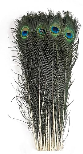 50PCS Plumes Naturelles de Paon avec des Yeux de Plumes de Queue de Paon 16-20 Pouce (40-50cm) pour la Fête de Mariage Arts and Crafts Home Decorations (50) - Nail Gallerys