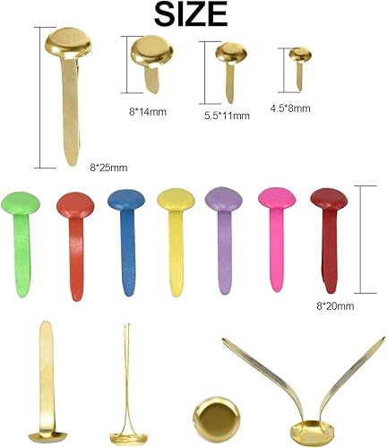 Mini Attaches Parisiennes 300 Pièces Attaches Parisiennes Scrapbooking Mini Brads Scrapbooking Métal Brads Attaches Parisiennes À Tête Métal Ronde Pour Scrapbooking Craft Papier Diy, 5 Spécifications - Nail Gallerys