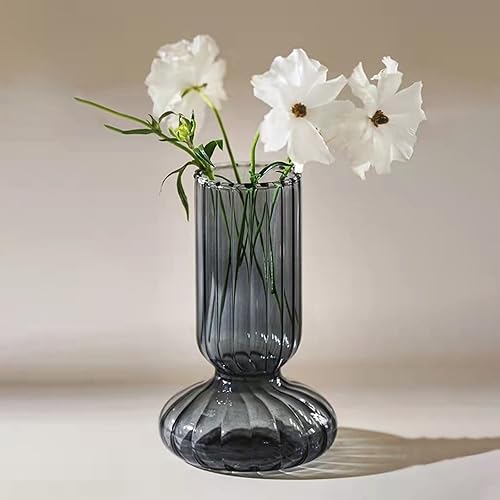 Feizikaw Pot Fleur Interieur Vase à bulbe en Verre Mart, Grand, Transparent, 1 unité (Clear, 165) - Nail Gallerys