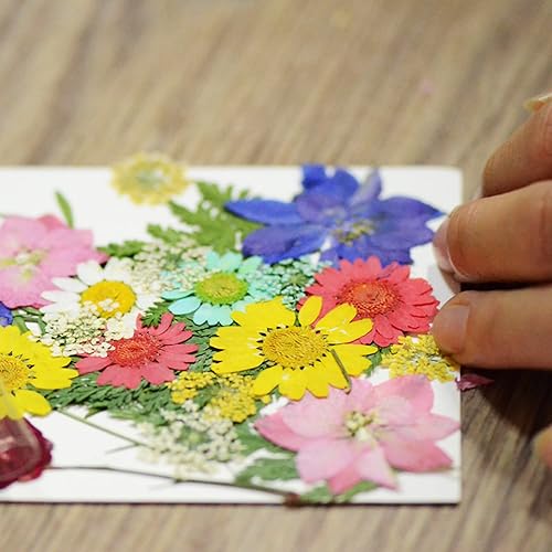 Woohome Fleurs Séchées Pressées, 110 PCS Bricolage Fleurs Séchées Ensemble, Fleurs Pressées Séchées Fleurs Sechees Naturelles pour L'artisanat d'art de Bricolage, Les Bijoux en Résine Epoxy - Nail Gallerys