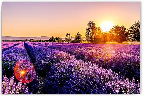Feeby Impression sur Toile Prairie Lavande 80x60 cm 1 pièce Tableaux Tableau Mural Image Photo Décoration Murale Artistique Photographie Design Chambre Salon Cuisine Nature Violet - Nail Gallerys