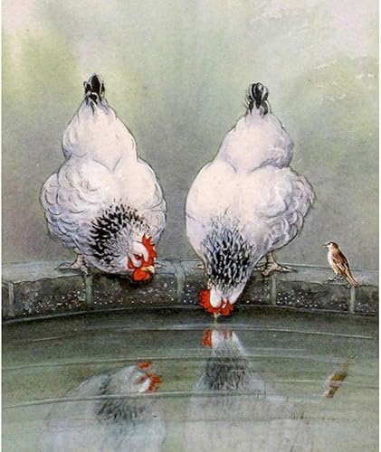 Diamond Painting Deux poules DIY 5D Diamant Peinture Full Drill Broderie par numéro kit Point De Croix Strass Complet Adultes Enfants Art Mur Décor (Pas de Cadre) 40x30cm - Nail Gallerys