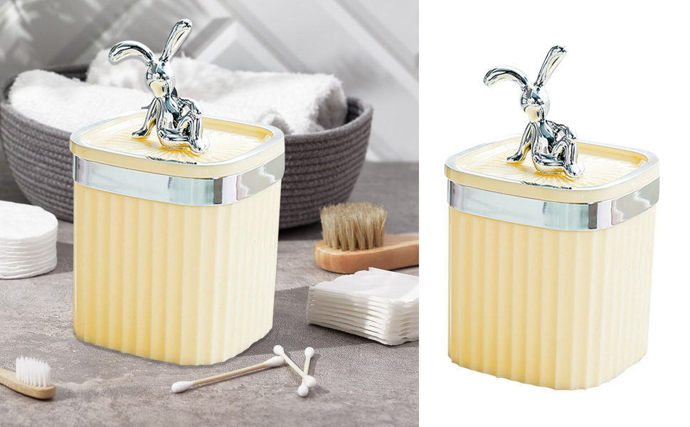 Porte Coton Tige en Plastique