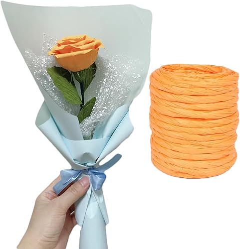 ALLWSLucky 12M Ruban en Papier de Raphia, 4mm Raphia Naturel Bobine Simple Torsion Corde de Papier, Ficelle de Raphia pour Emballage de Cadeaux, Décoration, Bricolage (Hellviolett 2) - Nail Gallerys