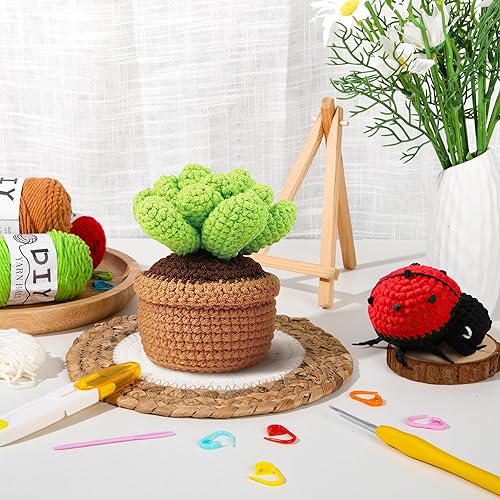 Kit De Crochet Pour Débutants,Coccinelle et Succulentes Pack d'Aiguilles de Tricot à Crocheter pour Enfants et Adultes Cadeau Bricolage Avec Des Instructions étape Par étape Et Des Tutoriels Vidéo - Nail Gallerys