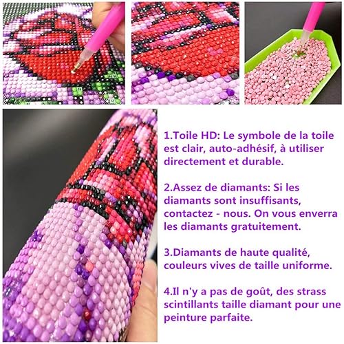 5D Bricolage Diamant Kits de peinture de diamant bricolage 5D pour adultes Full Drill, Jésus Broderie Diamant kit Complet, décoration à la Maison/Salon/Chambre/Bureau 40X30cm - Nail Gallerys