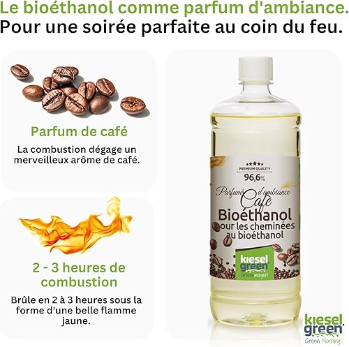 KieselGreen Bioéthanol 12 x 1 Litre avec Parfum pour Cheminée à l'éthanol - Bioéthanol comme Parfum d'ambiance - Parfum pour Cheminée à l'éthanol Bio intérieur ou feu de Table au Bioéthanol - Nail Gallerys