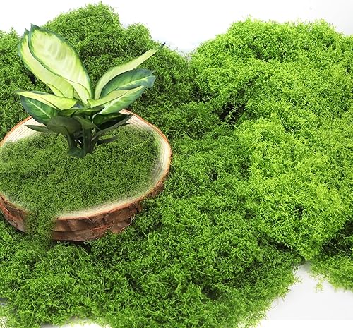 Zefphxs Mousse Plante Artificielle, 200g Fausse Mousse, Réutilisable Mousse Artificielle Decoration pour Noël et la décoration Murale dans la Maison (100g Vert Foncé + 100g Vert Clair) - Nail Gallerys