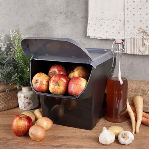 Vilde Boîte de rangement | Récipient de conservation pour légumes, fruits, oignons, pommes de terre, ail | avec rabat | convient à un usage - Nail Gallerys