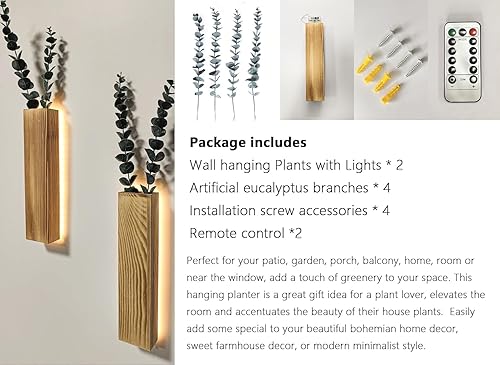 HanYun Lot de 2 vases muraux en bois avec lumières LED pour plantes d'intérieur - Eucalyptus artificiel - Faux pots muraux pour salon, salle de bain - Décoration murale - Plantes vertes - Nail Gallerys