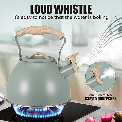 Bouilloire Induction, 3L Bouilloire Sifflante en Acier Inoxydable Vintage Bouilloire Gaz vec Poignée en Bois Anti-brûlure Théière avec Sifflet Poignée Pliante Thé Café Cuisinière Gaz Plaques Induction - Nail Gallerys