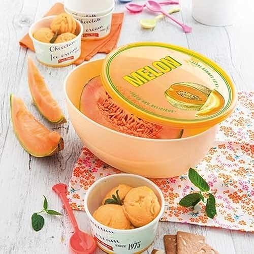 Snips, Garde Melon 2L, Boîte de Conservation 23,5 x 18,5 x 11 cm, Boite Rangement Frigo, Made in Italy - Nail Gallerys