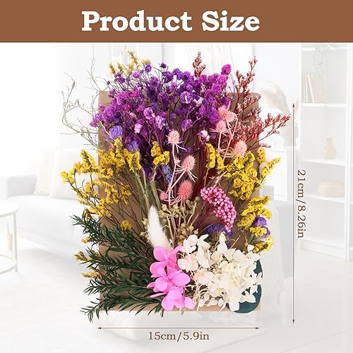 NVIYAM Ensembles de Fleurs Séchées Naturelles Vraies Fleurs Pressées Décoration Naturel Fleur Sechees Fleurs Mélangées Naturelles pour Resine Epoxy Fleurs Séchées Scrapbooking DIY Bougie Fabrication - Nail Gallerys
