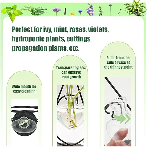 Vase à fleurs en verre en forme de cœur, vase de multiplication hydroponique avec chat, support de plantes en métal intérieur, station de multiplication pour plantes, support de fleurs de bureau pour - Nail Gallerys