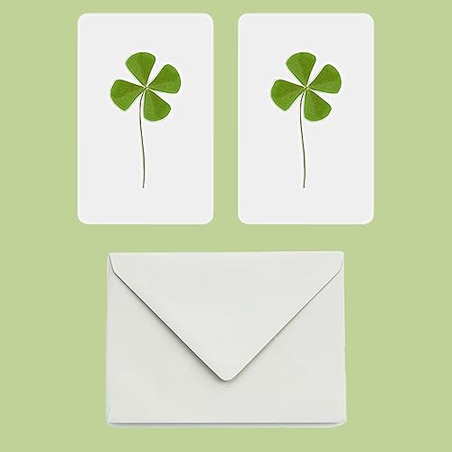 Trèfle à 4 Feuilles Naturel Plastifié | Amulette de la Chance et de la Fortune | Cadeau Original Bonne Chance - Trèfles Séchés à Quatre Feuilles Royal (4) - Nail Gallerys
