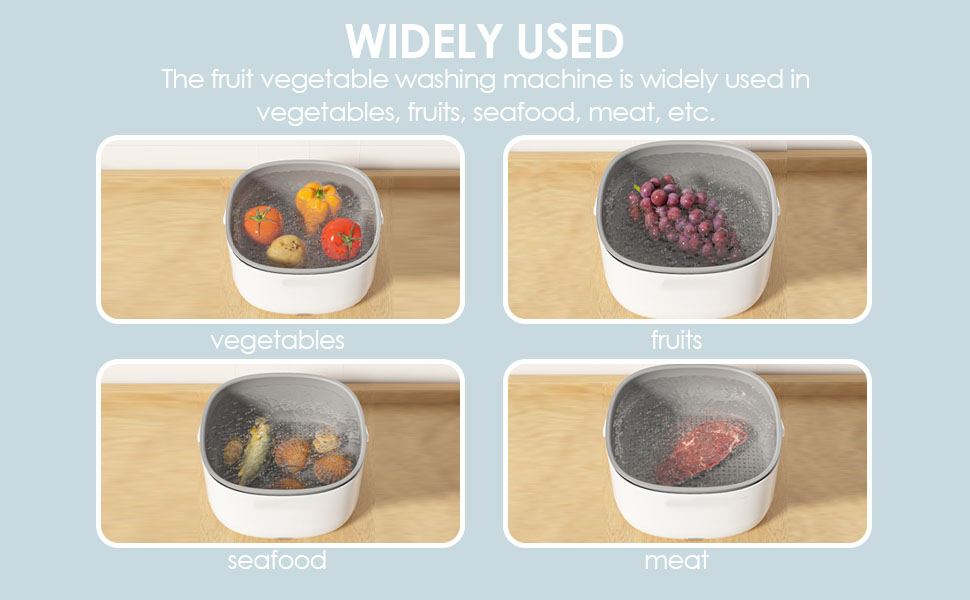 Lavadora de frutas y verduras