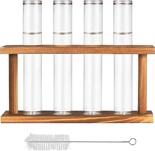Vase Tube à Essai Terrarium pour Plantes Vase en Verre Hydroponique avec Support en Bois Station De Propagation De Tubes à Essai pour Plantes Hydroponiques pour La Maison Cuisine Tabl - Nail Gallerys