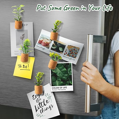JUSTDOLIFE Mini aimants de réfrigérateur avec Plantes succulentes artificielles avec Pot pour Tableau magnétique, réfrigérateur, Maison, Bureau - Nail Gallerys