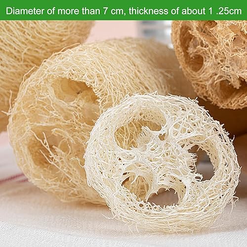 Porte Savon Antidérapant Luffa, Porte Savon luffa, Porte Savon Écologique, Antidérapant Tampon de Savon, Boîte à Savon Luffa, Luffa Naturel Support Savon,10 Pièces Support de Savon - Nail Gallerys