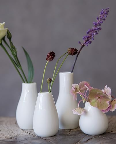 Räder Lot de 4 Mini vases Blanc. - Nail Gallerys