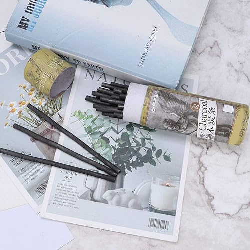 25 Pièces Ensemble De Dessin Au Fusain Professionnel, Kit De Dessin Ensemble De Crayons à Croquis, Ensemble De Crayons De Dessin Au Fusain Professionnel - Outils De Croquis D'art Pour(7330) - Nail Gallerys