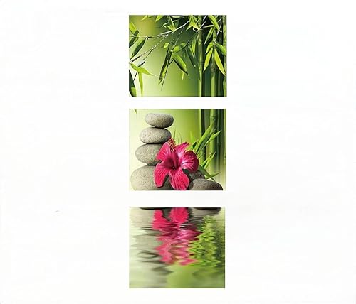 YUPPOG Lot de 3 toiles murales en bambou vert zen avec plantes tropicales affiche de spa peintures imprimées pour salle de bain salle de yoga bureau salle de bain décoration-30x30cmx3P Sans cadre - Nail Gallerys