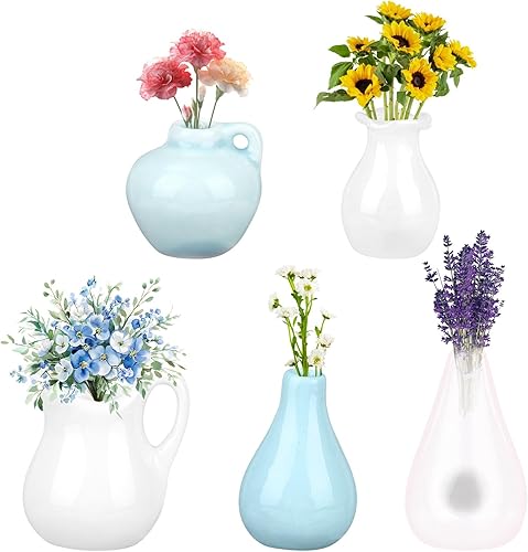lasuroa 5pcs Magnets Mini Vases Céramique Réfrigérateur, Petits Vases Fleurs Transparents Mignons Magnets Plantes 3D comme Décoration Amusante pour Maison Bureau Cuisine & Tableau Blanc (Style D) - Nail Gallerys