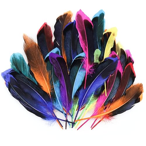 GoldRock Lot de 50 Plumes colorées pour travaux manuels - Plumes - pour Enfants - Décoration de Mariage - Attrape-rêves - Plumes - Plumes - pour Bricolage - pour Les Boucles d'oreilles - Nail Gallerys