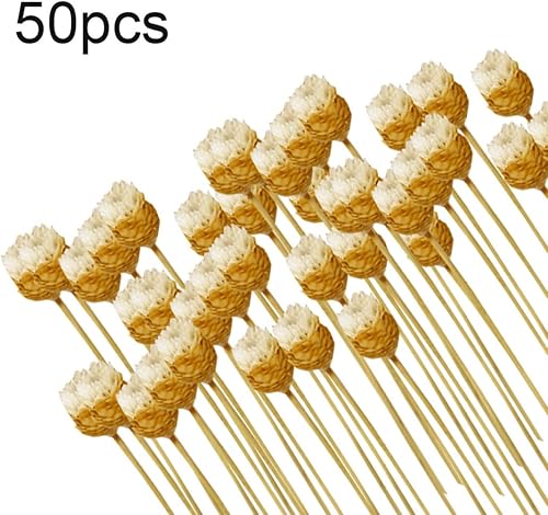 50 tiges Fleurs séchées Brésilien Petite étoile Marguerite décorative Fleurs séchées Mini-Marguerite Bouquet de Camomille pour Vase de Bricolage Carte Couronne Mariage - Nail Gallerys