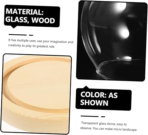 Ciieeo en Verre avec Base pour Plantes Artificielles Souvenirs Figurines Décoration Intérieure Et Ambiance De Pièce - Nail Gallerys