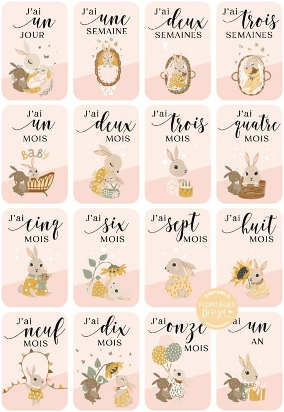 Florilèges Design Cartes étape, Papier, Rose, 10 x 15 cm - Nail Gallerys