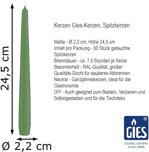 Gies Lot de 50 bougies coniques vertes/sauge - 2,35 x 24,5 cm - Durée de combustion : 7 heures - Pourcentage de stéarine - Gastronomie - Nail Gallerys