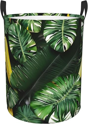 Panier circulaire imprimé banane et palmier, panier à linge, paniers de rangement pliables, pour ranger jouets, vêtements, livres - Nail Gallerys