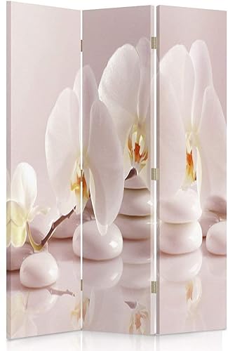 Feeby Paravent Fleurs orchidée 3 Panneaux 110x150 cm Une Seule Côté Cloison de séparation Écran Pliant Foto Paravent Interieur Décoratif Mur Espagnol Chambre d'enfant Salon Bureau Nature Pierres Zen - Nail Gallerys