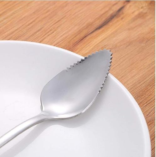 Casecover Pamplemousse Cuillère Fruit en Acier Inoxydable Cuillère, Cuillère en Acier Inoxydable Dentelée, Bord De Crème Glacée Grattez Cut Cuiller pour Les Fruits Dessert Légumes Au Fromage - Nail Gallerys