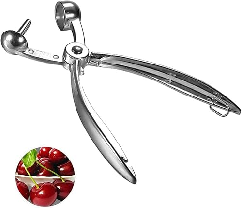 Tumnea Dénoyauteur de Cerises en Acier Inoxydable Dénoyauteur de Cerises Outil de piratage pour enlever Les noyaux de Cerises Dénoyauteur d'olives Outils de Cuisine pour enlever Rapidement Les noyaux - Nail Gallerys