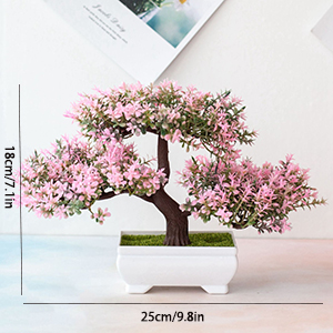 hash-get  {Restaurant}