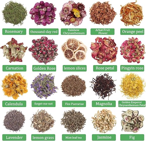 Xbessc 20 Pack Fleurs Séchées Fleur Sechee Naturelles pour Bougies Fleur Sechees Decoration Rose Jasmin Lavande Oeillet Magnolia pour la Fabrication de Bijoux en Résine de Bougie de Savon - Nail Gallerys