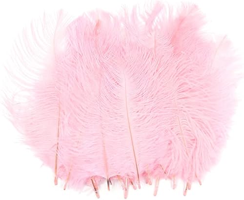 Alnicov Lot de 20 plumes d'autruche naturelles 15 cm-20 cm plumes de plumes de bricolage pour la décoration de table de fête de mariage à la maison (rose) - Nail Gallerys