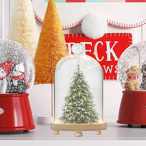 Gcroet Dôme en Verre avec Un dôme en Verre Minimaliste de Base, Cloche alimentée par Batterie avec Base illuminée, Fausse poupée Fleurie Figurine Colleble Cloche pour Table à Domicile.. - Nail Gallerys