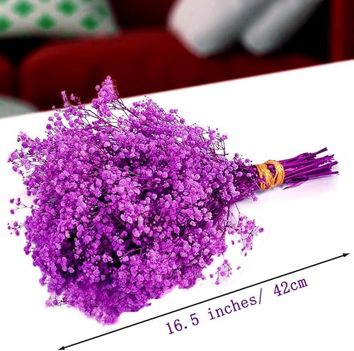 Gipizi Gypsophile Séché Fleurs Violet, Naturel Gypsophila Fleurs Sechees Plus de 3000 Boutons Floraux enpour Gypsophile pour Mariage, Décoration Maison, DIY et Fête - Nail Gallerys