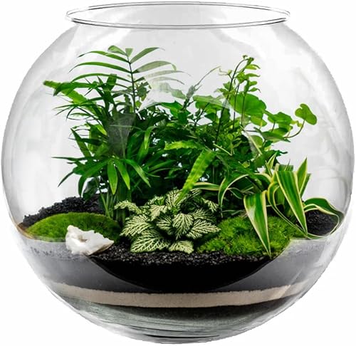 Vase sphérique, en verre, diamètre : 30 cm, hauteur : 24,5 cm, 12 l, pour aquarium sphérique, aquarium, terrarium, hydroponique, bol de bowl - Nail Gallerys