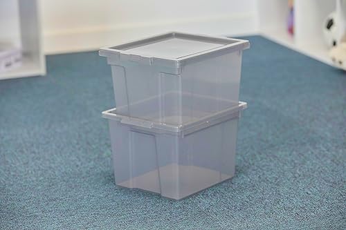 Iris Ohyama, Boite rangement plastique, Boite de rangement bureau de 10L, Lot de 4, Sans BPA,DDUSB-S, Gris- L29 x P24 x H18.5 cm - Nail Gallerys
